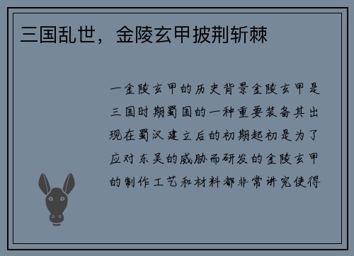 三国乱世，金陵玄甲披荆斩棘